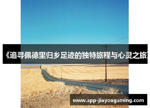 《追寻佩德里归乡足迹的独特旅程与心灵之旅》