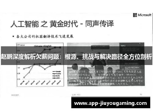 赵鹏深度解析欠薪问题：根源、挑战与解决路径全方位剖析