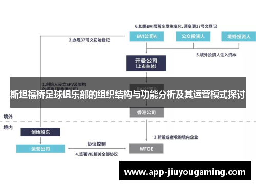 斯坦福桥足球俱乐部的组织结构与功能分析及其运营模式探讨