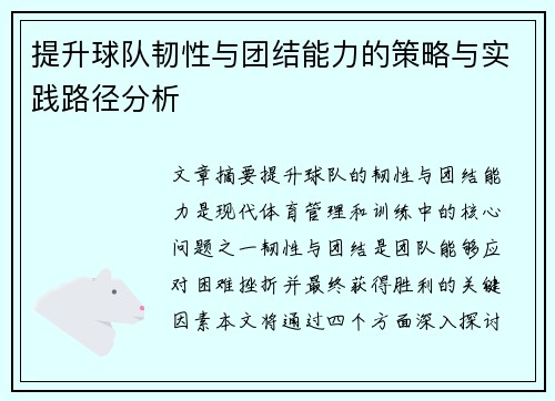 提升球队韧性与团结能力的策略与实践路径分析